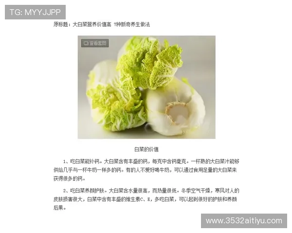 全面解析白菜资讯大全：种植技巧、营养价值与市场动态